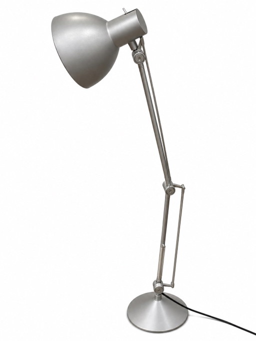 Flos Archimoon