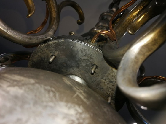 Image 1 of lucentezza da clone fiammingo