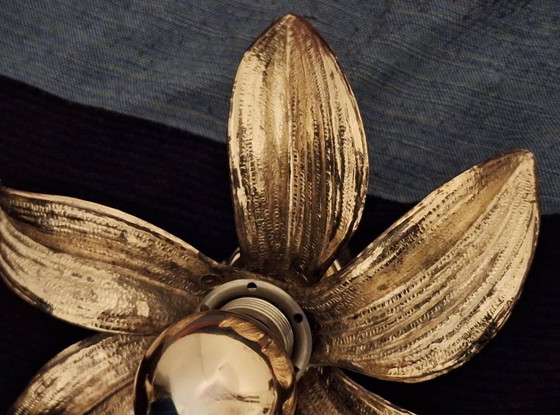 Image 1 of Coppia di lampade da parete o da soffitto in ottone massiccio dalla forma organica, anni '70