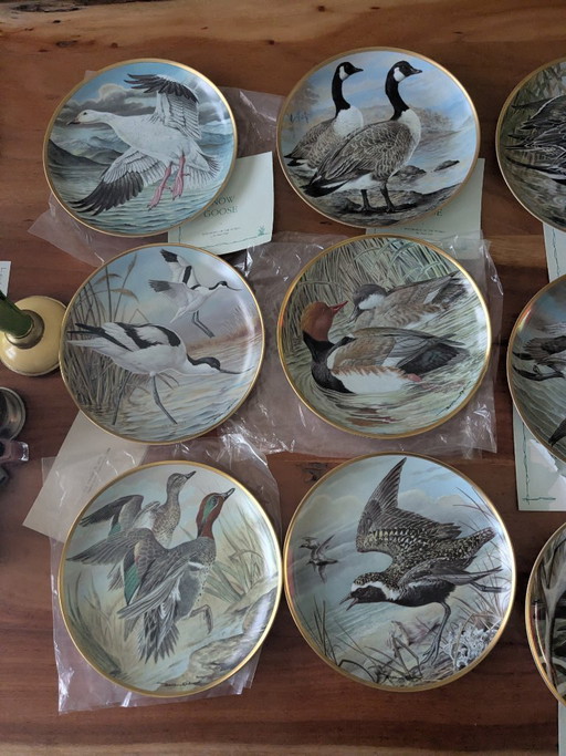 Basil Ede Aves acuáticas del mundo, 12 piezas con sistema para colgar.