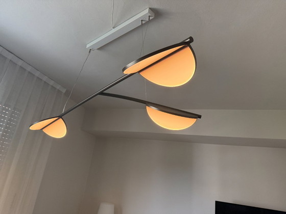 Flos Almendra Organic S3 Y Long Anthracite – Patricia Urquiola – Pendant lamps, Aluminium (photo 3 of 5)