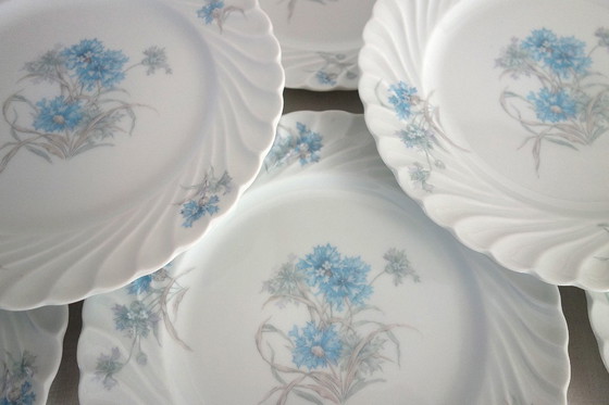 Image 1 of 12-delig dessertservies "Bergère", Haviland Limoges