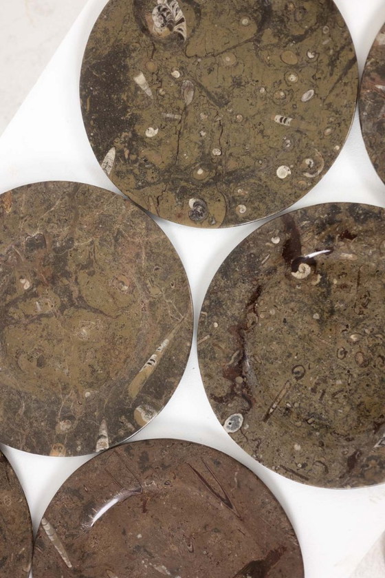 Image 1 of Set aus 7 Marmortellern mit Fossilieneinschlüssen. 20. Jahrhundert.
