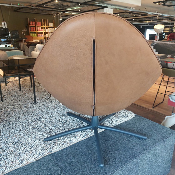 Image 1 of Label Hide Sessel