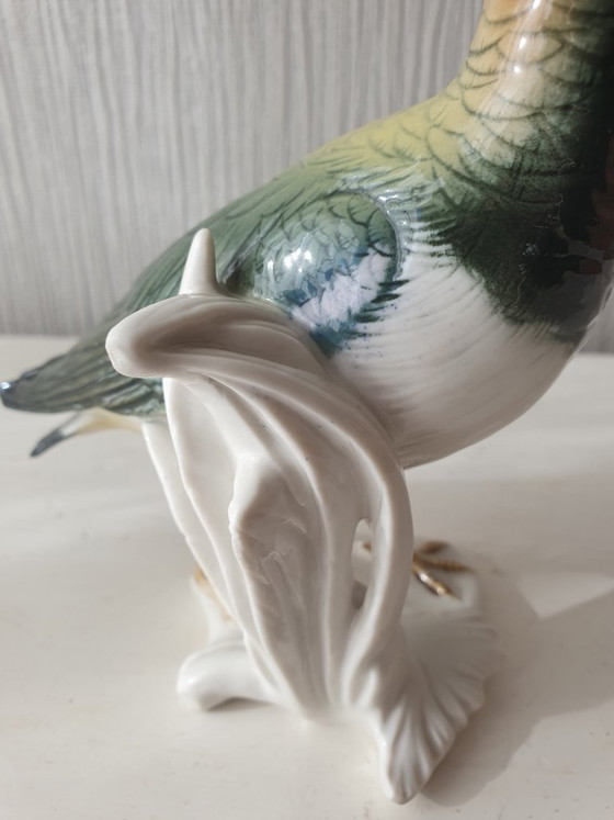 Image 1 of Pavoncella in porcellana Karl Ens – Modello 7558 – Condizioni perfette