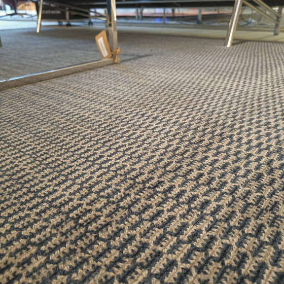 Image 1 of Fabula Gro rug - 200x300