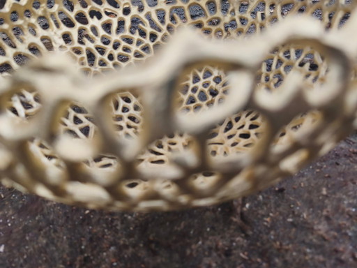 Coupe à fruits branche dorée