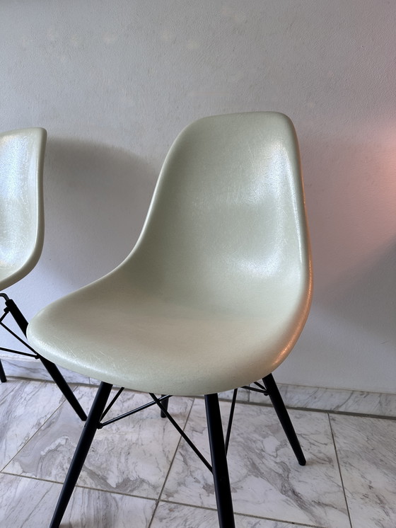 Image 1 of 2x Vitra Eames Silla Auxiliar de Fibra de Vidrio DSW - Madera y Base de Alambre-01 Eames Pergamino-Arce Negro