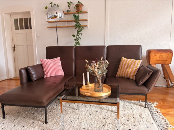 Image 1 of Brühl Roro Medium 3-Seater Leather Pearl Dark-Brown