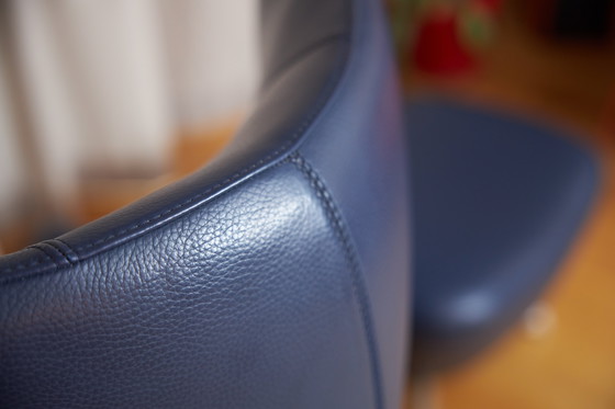 Image 1 of Leolux caruzzo