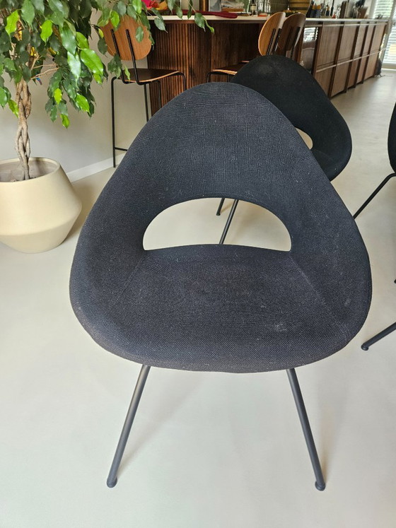 Image 1 of 4x Artifort Shark Chairs