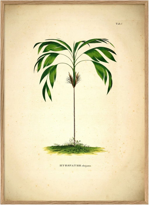 Hochwertiger botanischer Kunstdruck des dänischen Designhauses The Dybdahl Co. | | Größe: 120 x 166 cm