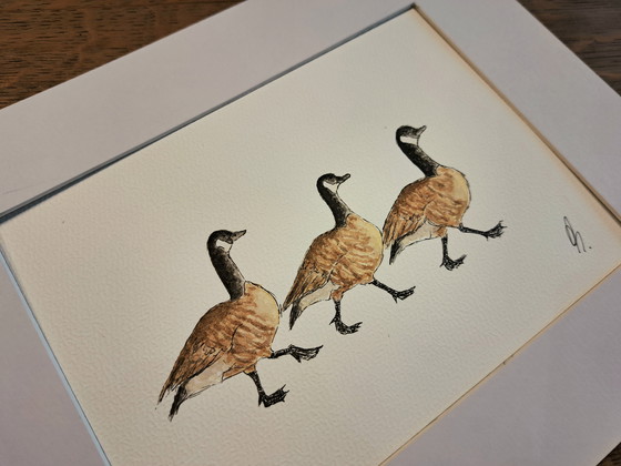 Image 1 of Watercolor Canadian Geese | Framed