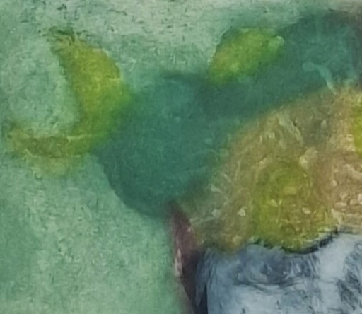 'Portrait of a Lady'