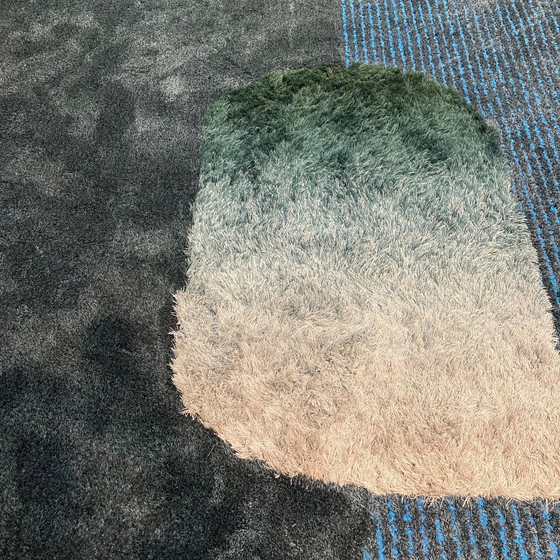 Image 1 of Leolux Seasons rug - 225x340