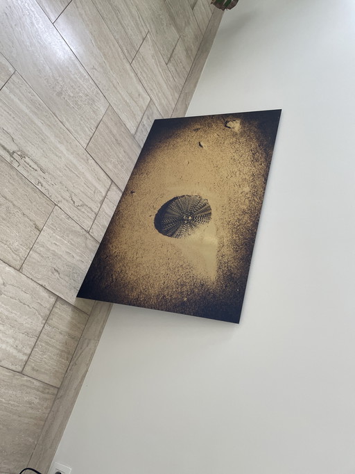 Photo on Frame - Photographer An Geyselinck