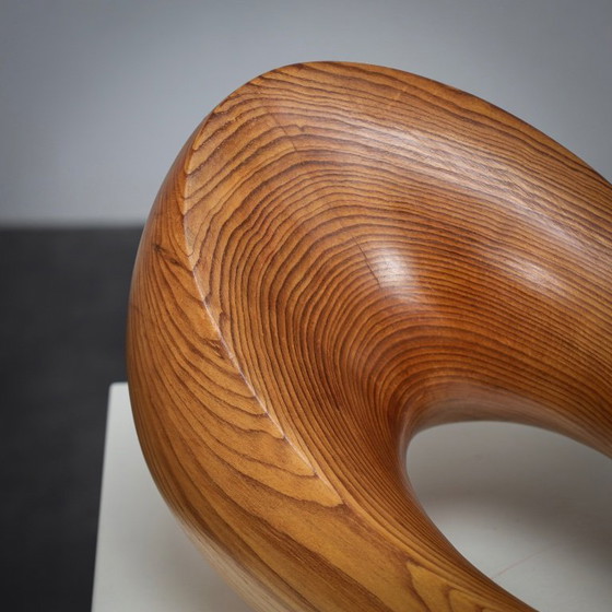 Image 1 of Flying Solo, Organic Sculptural Form by Ineke van Zuuren, 1970s