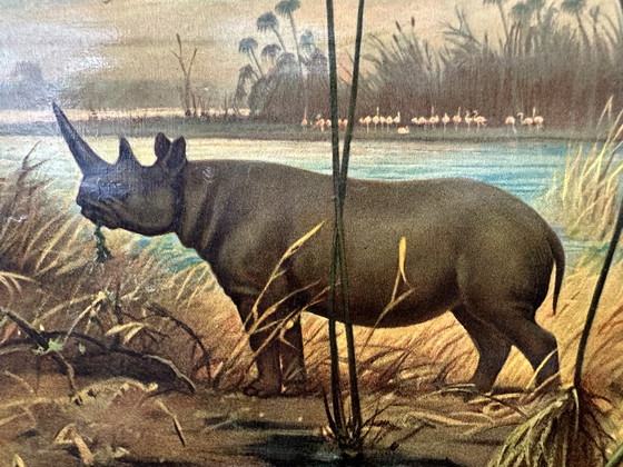 Image 1 of Vintage linen school map - Hippopotamus