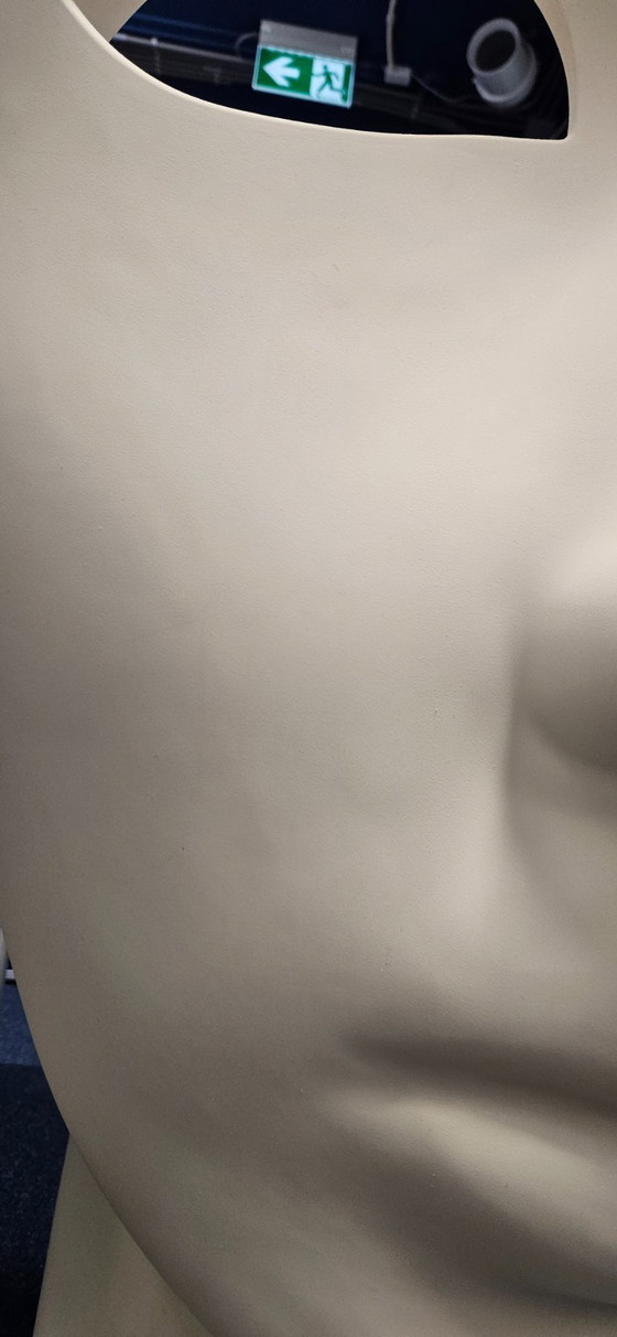 Image 1 of Driade Nemo unused