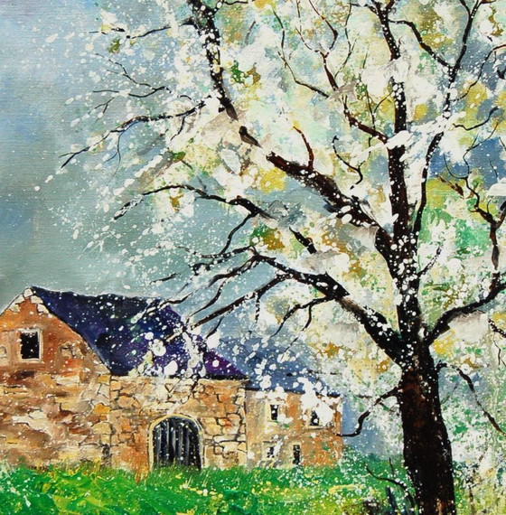 Image 1 of Primavera en casa