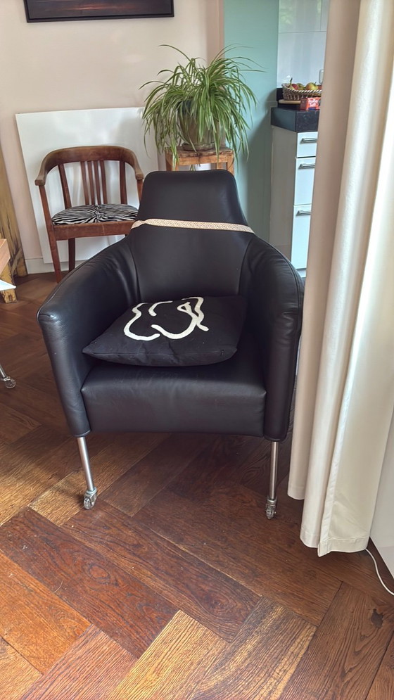 Plantation dining chairs – Bert Plantagie, Leather, Metal (photo 3 of 7)