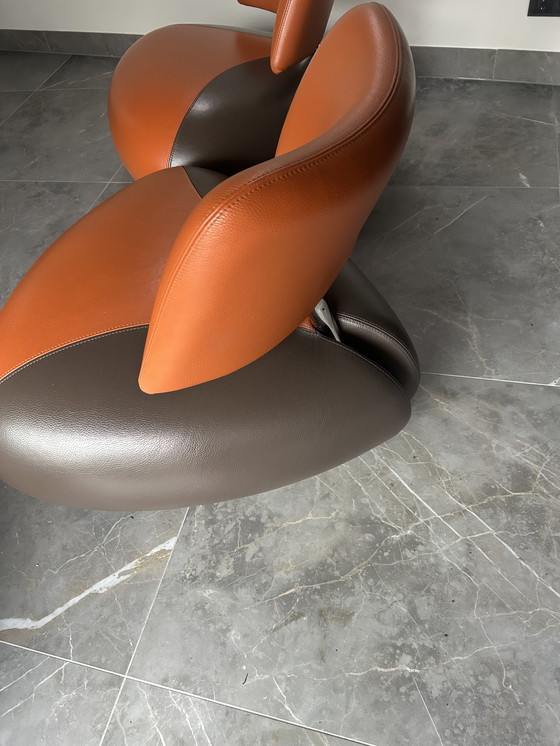 Image 1 of Leolux Pallone chairs – Orange/Brown