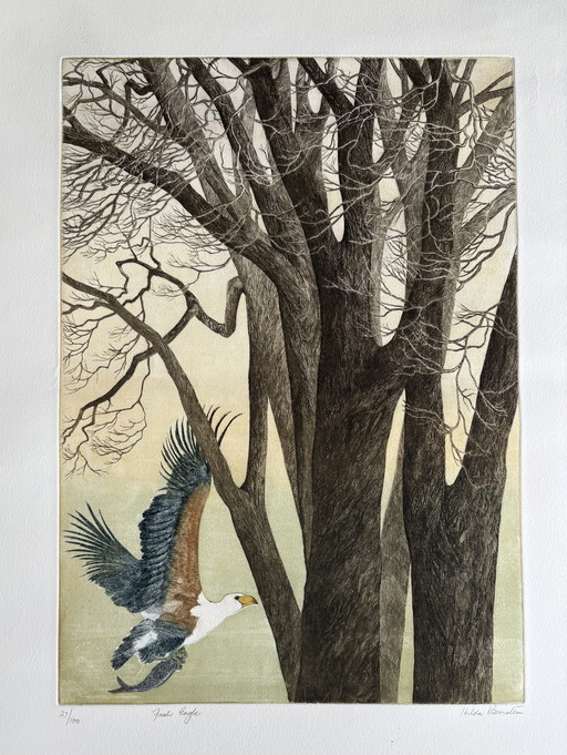 Hilda Bernstein Fish Eagle etching 27/100 signed