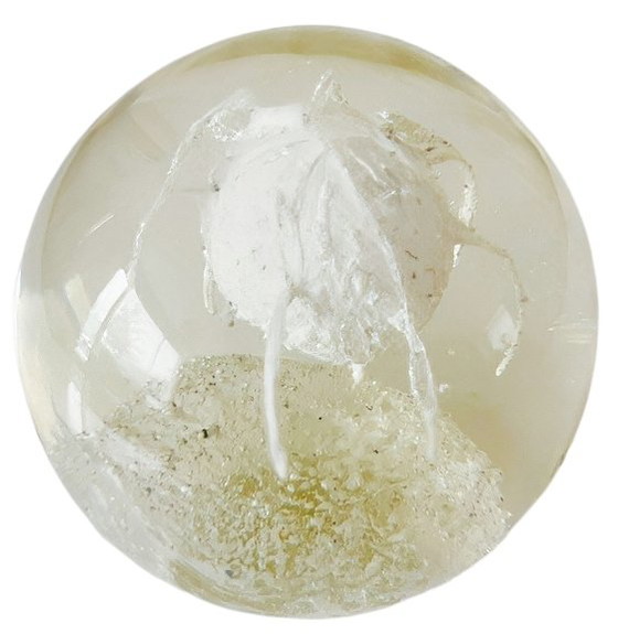 Image 1 of Fermacarte in vetro di Murano di metà secolo moderno, medusa in vetro trasparente, anni '80