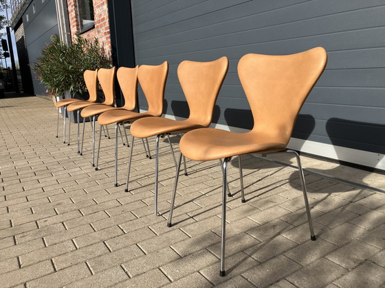 Image 1 of Sedie Butterfly serie 7 di Fritz Hansen in pelle Camel NUOVE!!