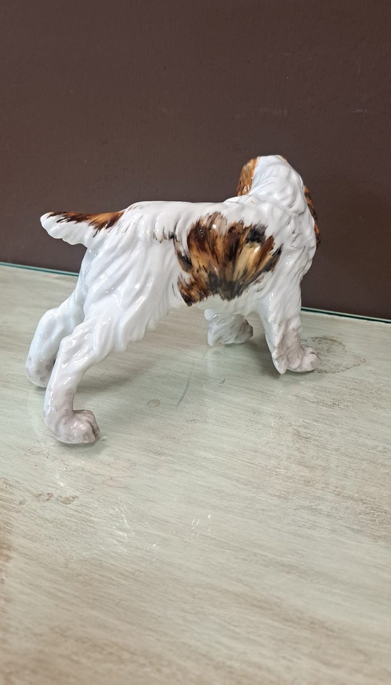 Figurine chien vintage C. Martinu, Objets déco, Porcelaine, Blanc (photo 4 sur 5)