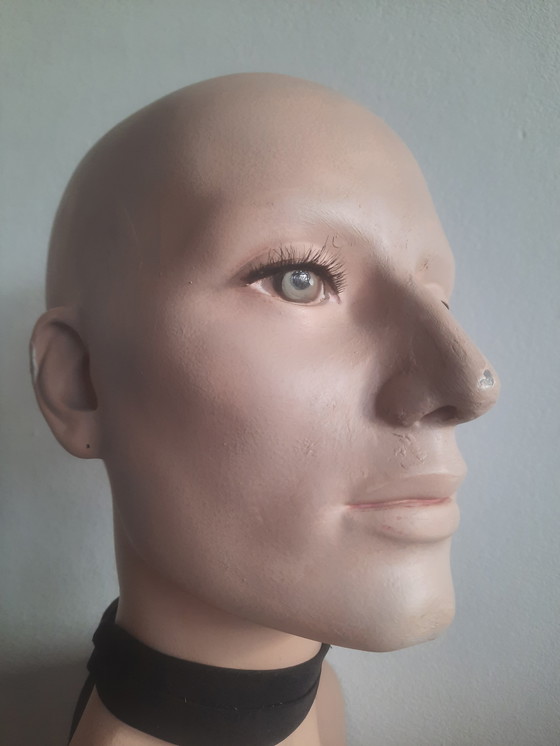 Image 1 of Torso di manichino femminile Lupo e Vine Greneker 