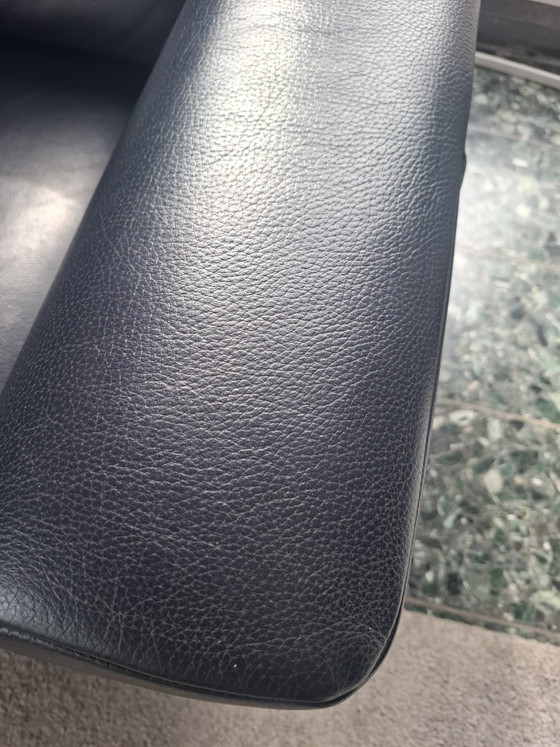 Rolf Benz Linea Divani 2 e 3 posti – Leather, Metal (photo 5 of 11)