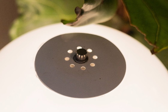 Lampe Champignon Dutch Design – Hala Zeist – Plastique (photo 5 of 16)