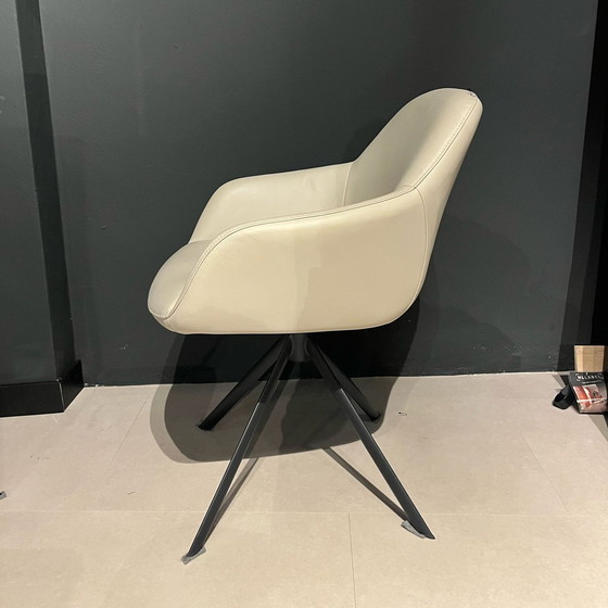 Image 1 of Young Line Furniture Xylo Esszimmerstuhl