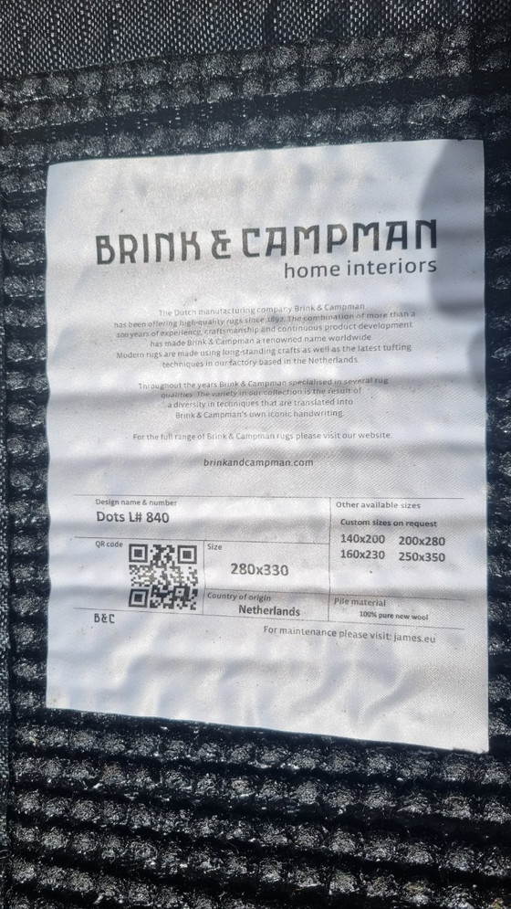 Image 1 of Designer-Hochflorteppich Brink en Campman Dots 280x330