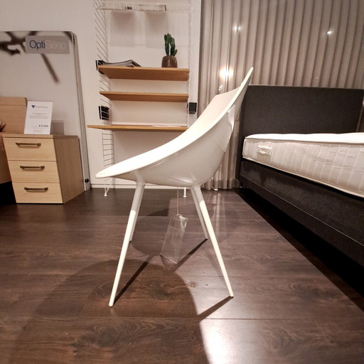 Chaise de salle à manger Driade Lago