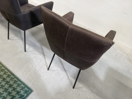 Image 1 of 4 Design on Stock Sedie da pranzo Moka in pelle Cabo Marron