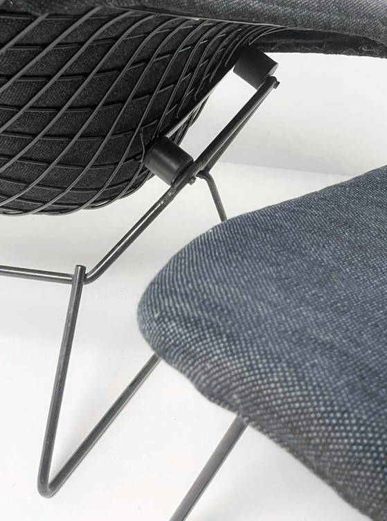 Harry Bertoia « Oiseau » - Knoll International – Fauteuils, Textile (photo 4 of 5)