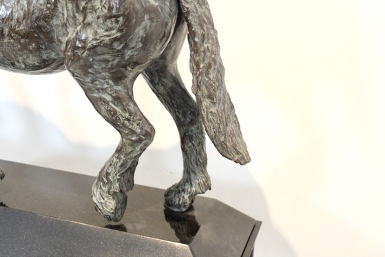 Bronze Pferd Bildhauerei von Cocky Duijvesteijn, Metall (Foto 11 von 13)