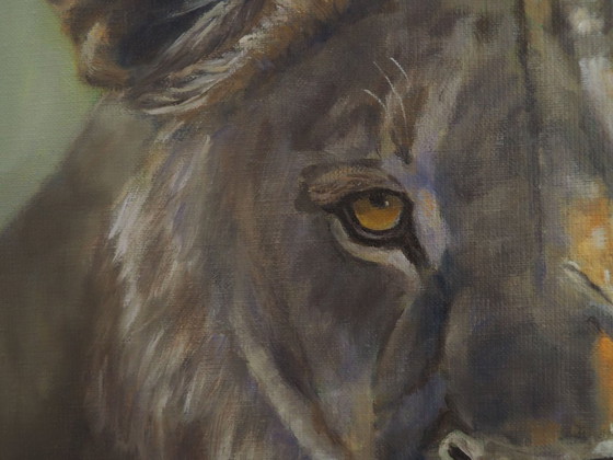 Image 1 of Junger Löwe, Öl auf Leinwand von Sylvie AJACQUES