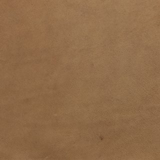 Image 1 of Leolux Lanah Sessel