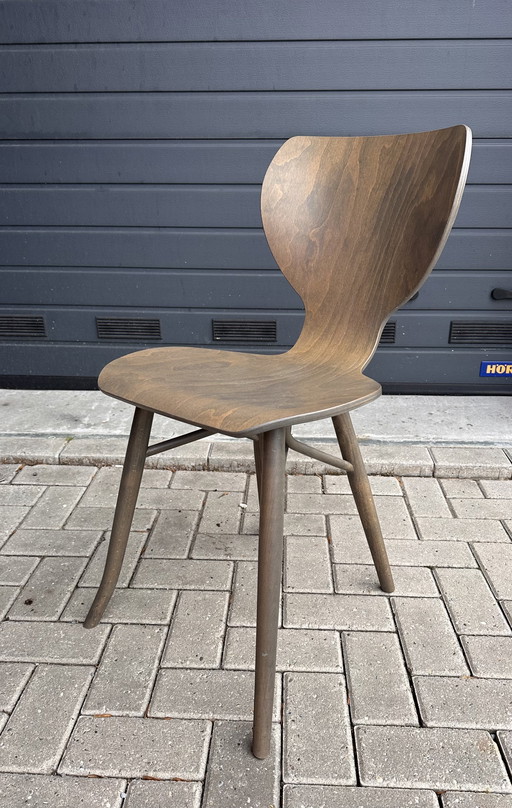 2x Linteloo Tulipani Designstühle