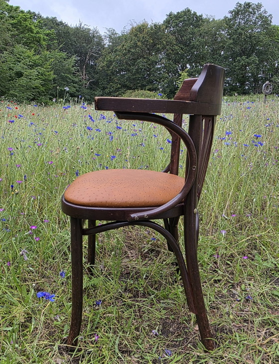 Image 1 of Chaise de café Satellite de style Thonet avec structure en autruche