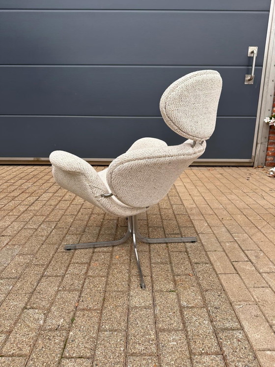 Image 1 of Artifort Big Tulip 1ª Edición 1958 Pierre Paulin, ¡¡¡Impecable estado nuevo!!!