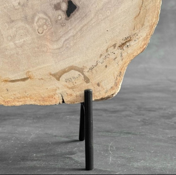 Image 1 of Madera fosilizada de Sooka, soporte hecho a medida (nuevo)