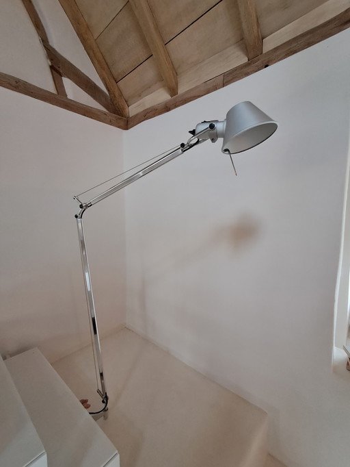 ARTEMIDE TOLOMEO