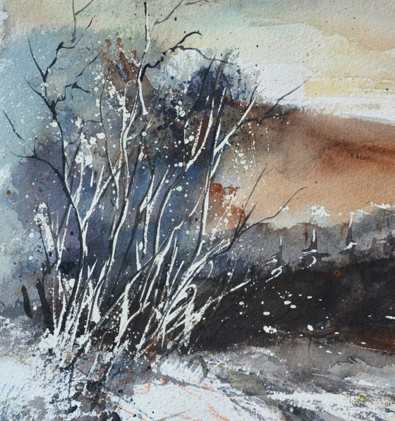 Image 1 of Acquerello Moonshine