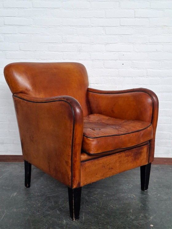 Poltrona Sheepskin Club – Poltrone, Leather, Wood (photo 6 of 10)