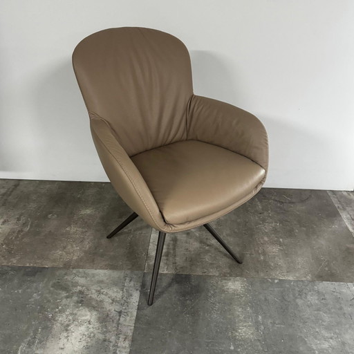 Shell set of 6 – Bert Plantagie, eetkamerstoelen, Leather, Calfskin