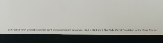 Image 1 of Andy Warhol, Gesigneerd Met Registratie In Impressum Copyright 'De Andy Warhol Foundation For The Visual Arts, Inc! Offsetlitho